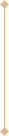 VErtical Line